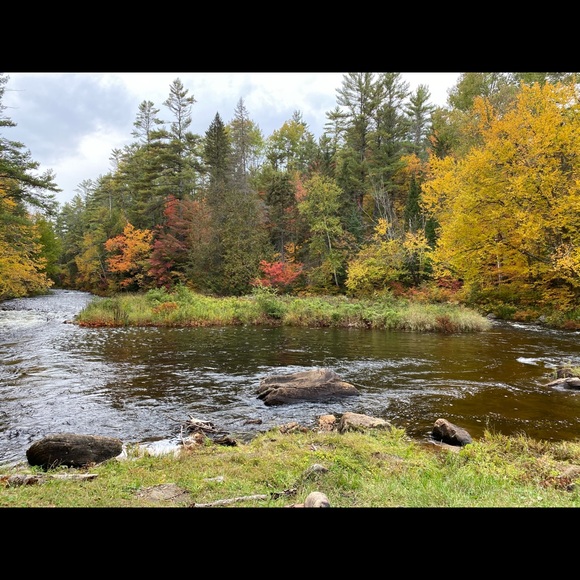 Meet your Posher, Lori - Picture 1 of 1